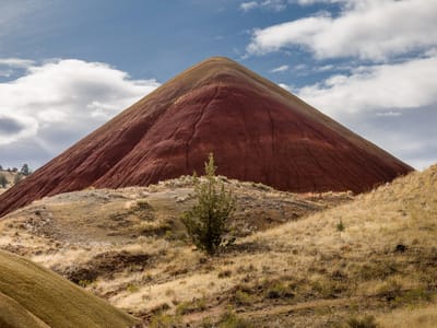 John Day Fossil Beds National Monument - Painted Hills Unit: Along the Painted Cove Trail