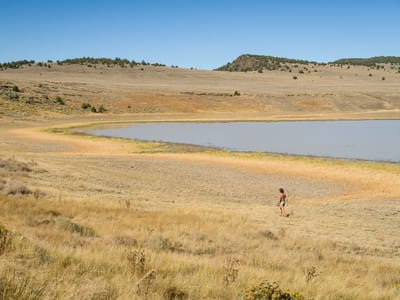 Hart Mountain Wildlife Refuge: Lolo strolling along Petroglyph Lake