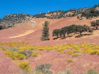 Jawbone to Lake Isabella 4WD Road: The lovely colors along Jawbone Canyon Road