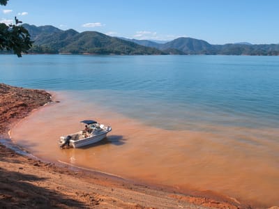 Shasta Lake: Our campsite on Slaughterhouse Island (with view of Mt. Shasta on the right)