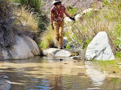 Anza-Borrego State Park: Alternative to bushwhacking