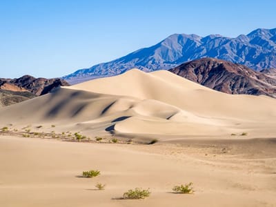 Death Valley National Park: Ibex Dunes