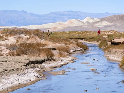 Death Valley National Park: Salt Creek Trail