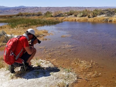Death Valley National Park: Herb stalking a pupfish