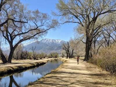 Bishop: Herb running along the Bishop Creek Canal