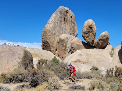 Bishop: Lolo of the Druid Stones