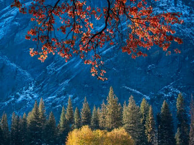 Yosemite Valley: Ahwahnee Meadow