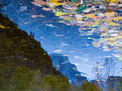 Yosemite Valley: Reflections of Half Dome