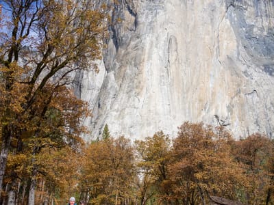 Yosemite Valley: We look so tiny