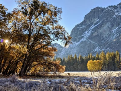Yosemite Valley: Ahwahnee Meadow