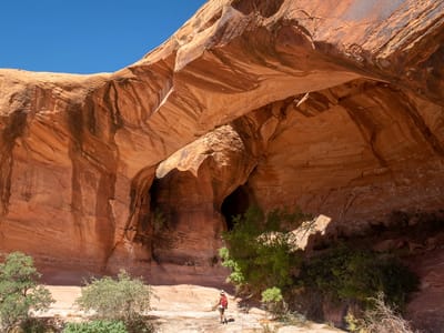 Lake Powell - San Juan Arm: Lolo approaching Jack's Arch