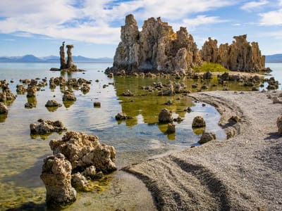 Mono Lake: An osprey with some tufas