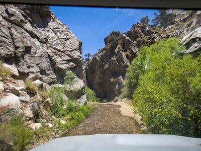 Ancient Bristlecone Pine Forest: Crossing Wyman Creek