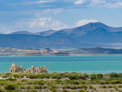 Mono Lake: Mono Lake