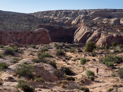 Horseshoe Canyon and the Great Gallery (Canyonlands National Park): Hike down into Horseshoe Canyon to the Grand Gallery