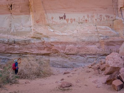 Horseshoe Canyon and the Great Gallery (Canyonlands National Park): Horseshoe Gallery