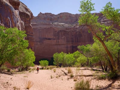 Horseshoe Canyon and the Great Gallery (Canyonlands National Park): The hike out of Horseshoe Canyon