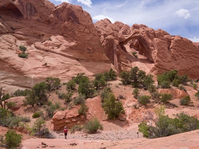 Notom Bullfrog Road, Upper Muley Twist, and the Burr Trail: Back down in the Canyon along the Upper Muley Twist hike