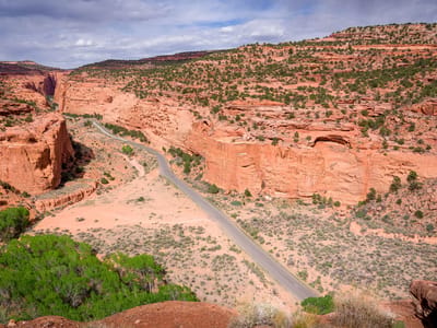 Notom Bullfrog Road, Upper Muley Twist, and the Burr Trail: Burr Trail
