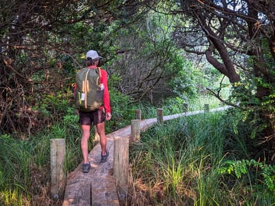 Oregon Dunes National Recreation Area: From dune to forest to ocean