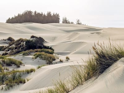 Oregon Dunes National Recreation Area: Umpqua Dunes along the John Dellenback Trail