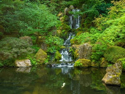 Portland: Japanese Garden