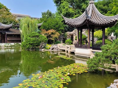 Portland: Lan Zu Chinese Garden