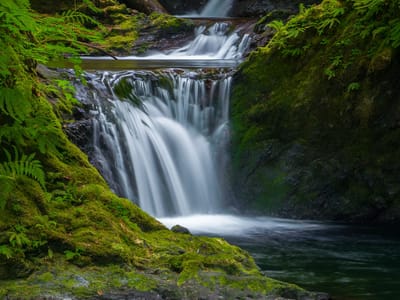 Olympic National Park: Willaby Falls