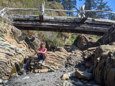 Olympic National Park: Beach 4