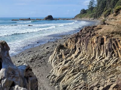 Olympic National Park: Beach 4