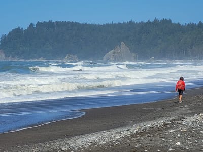 Olympic National Park: Rialto Beach