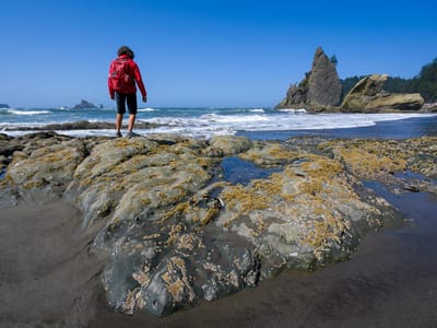 Olympic National Park: Rialto Beach