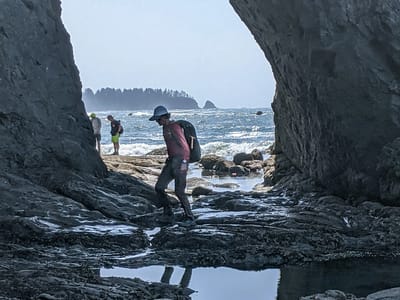 Olympic National Park: Rialto Beach - Hole-in-the-Wall