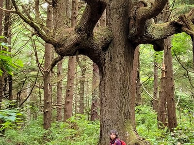 Olympic National Park: 2nd Beach