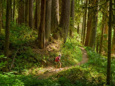 Olympic National Park: Hike to Sol Duc Falls