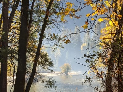 Yosemite Valley: Morning Mist