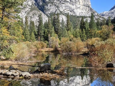 Yosemite Valley: Mirror Lake finally being a mirror