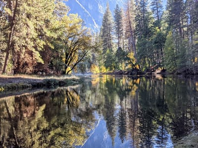 Yosemite Valley: Along our Valley bike ride