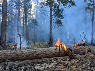 Yosemite Valley: The real source of our misty conditions