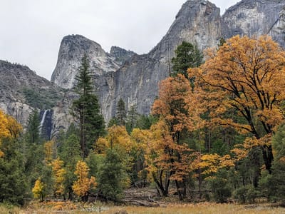 Yosemite Valley: Bridalveil Falls