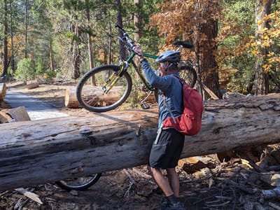 Yosemite Valley: Another log to deal with