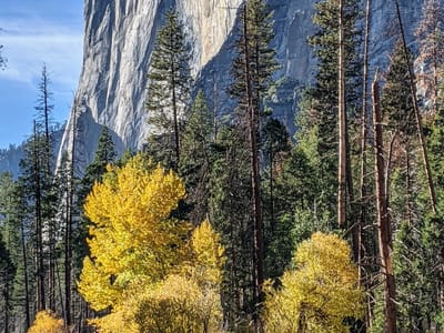 Yosemite Valley: Just one more El Cap