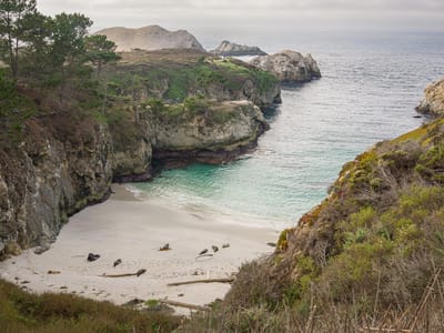 Carmel and Side Trips: China Cove - Point Lobos Perimeter Trail