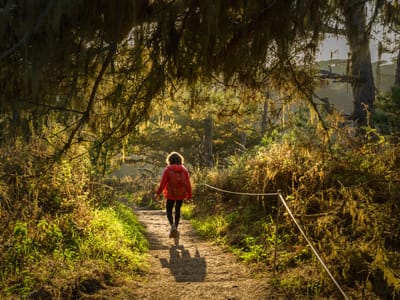 Carmel and Side Trips: Along the Point Lobos Perimeter Trail