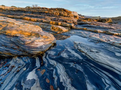 Carmel and Side Trips: Weston Beach - Point Lobos