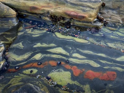 Carmel and Side Trips: Weston Beach - Point Lobos