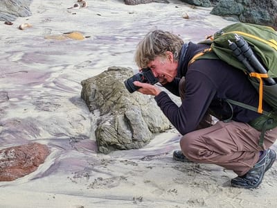 Carmel and Side Trips: Herb stalking purple sand on Pfeiffer Beah
