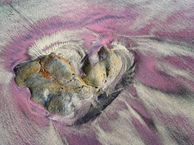 Carmel and Side Trips: Purple sand of Pfeiffer Beach