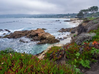 Carmel and Side Trips: Along Carmel's Scenic Bluff Path