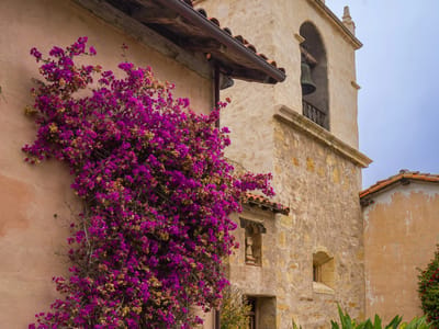 Carmel and Side Trips: Carmel Mission Garden